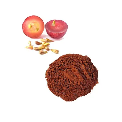 Lisi Supply Natural Grape Seed Extract OPC