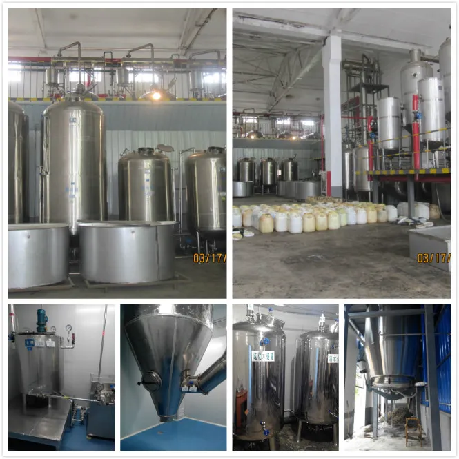 Liver Protection Vine Tea Extract Dihydromyricetin Dhm 98% Myricetin