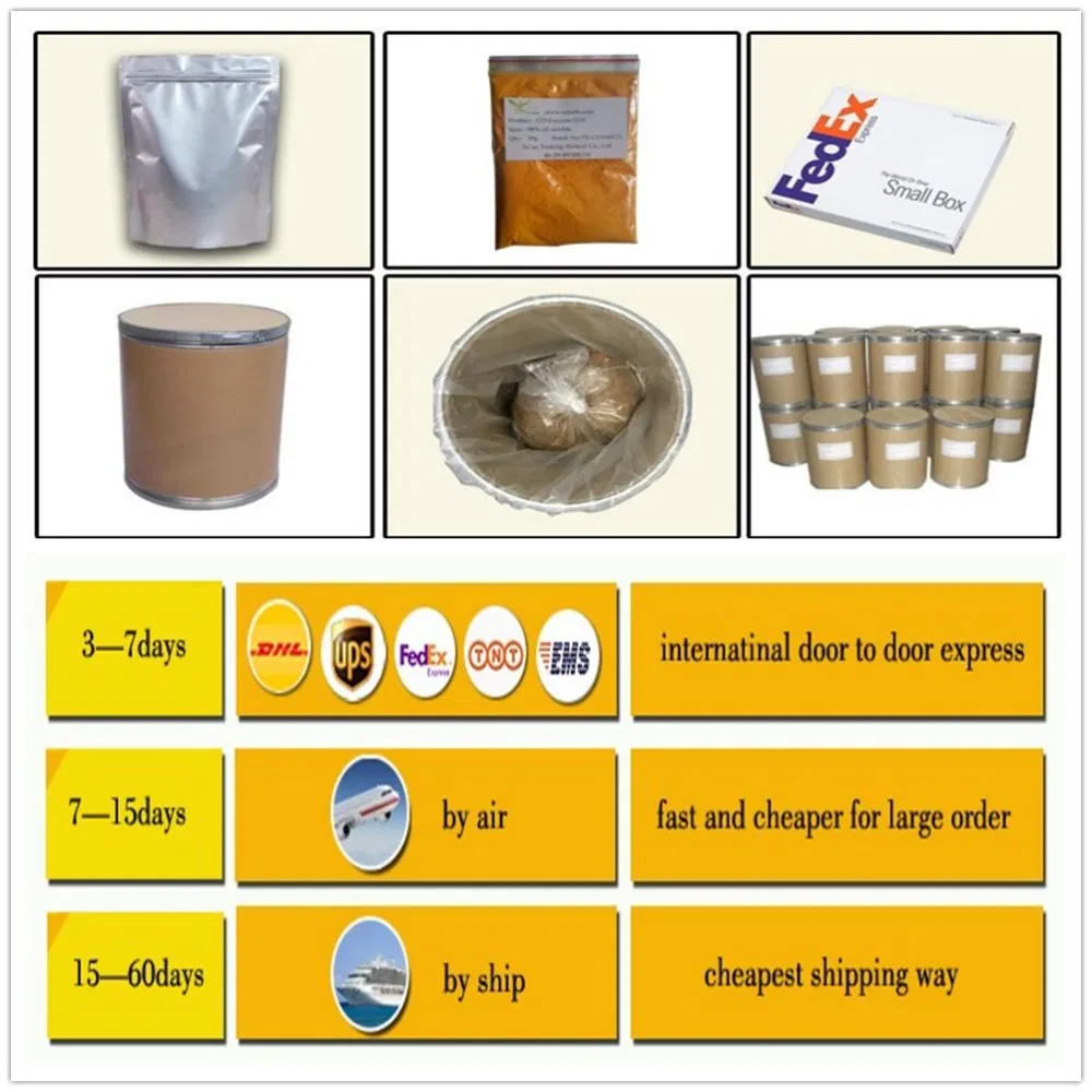 Lower Blood Pressure Herbal Plant Extract Flavones Dandelion Root Extract Powder