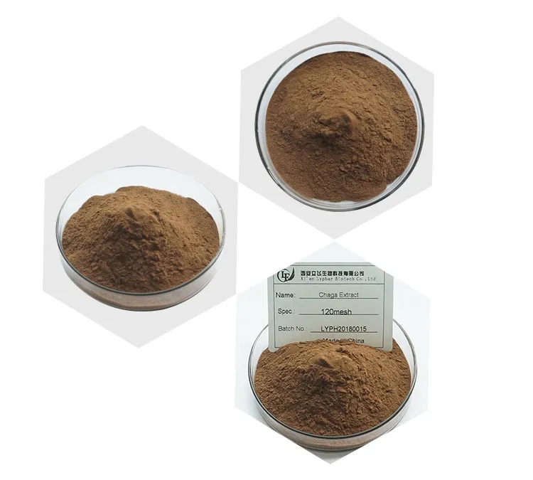 Lyphar Supply Chaga Extract Polysaccharides Chaga Mushroom Extract