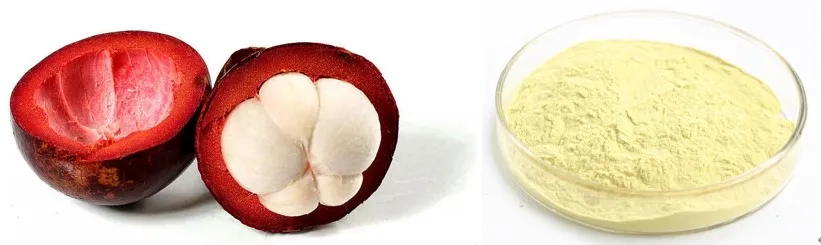 Mangosteen Extract with Xanthones 20%, 30%, 40%, 90%, 95%, 98% CAS 90-47-1