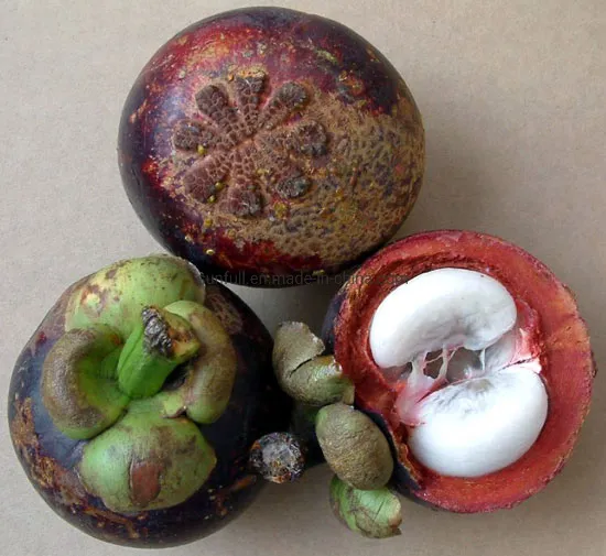 Mangosteen Extract with Xanthones 20%, 30%, 40%, 90%, 95%, 98% CAS 90-47-1