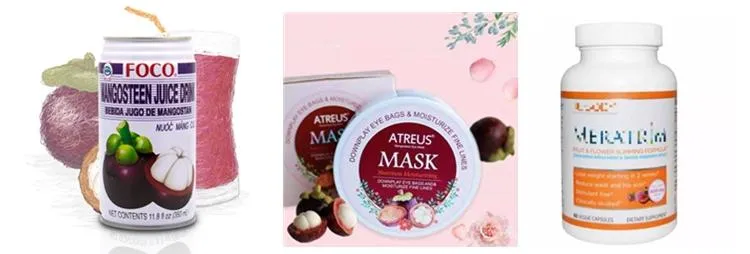 Mangosteen Powder Juice Powder Mangosteen Fruit Powder Mangosteen