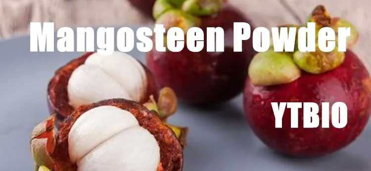Mangosteen Powder Juice Powder Mangosteen Fruit Powder Mangosteen