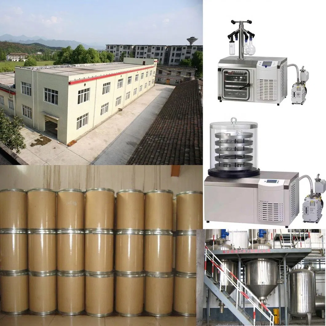 Manufacture Supply Hight Quality Pure Jujube Powder/Jujube Furit Powder