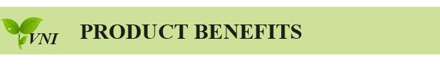 Manufacturer Supply 100% Natural Grape Seed Extract for Improve Immunity