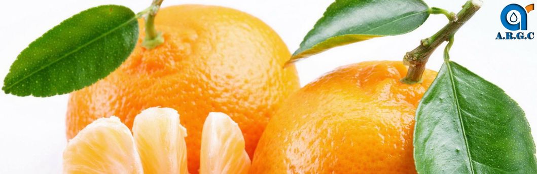 Manufacturer Supplying High Quality Citrus Aurantium Extract Hesperidin CAS 520-26-3