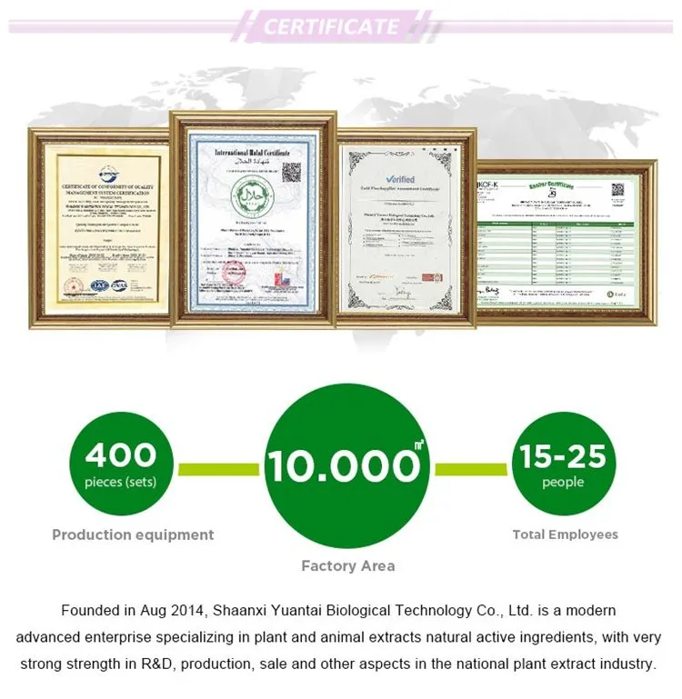 Matrine 98% Powder Insecticide Matrine Kuh-Seng Extract Matrine