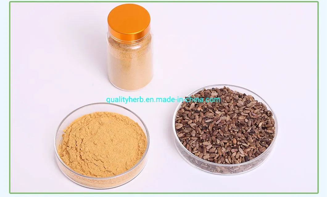 Milk Thistle Dry Extract Silymarin Powder Silybin+Isosilybin 80% UV Plant Extract