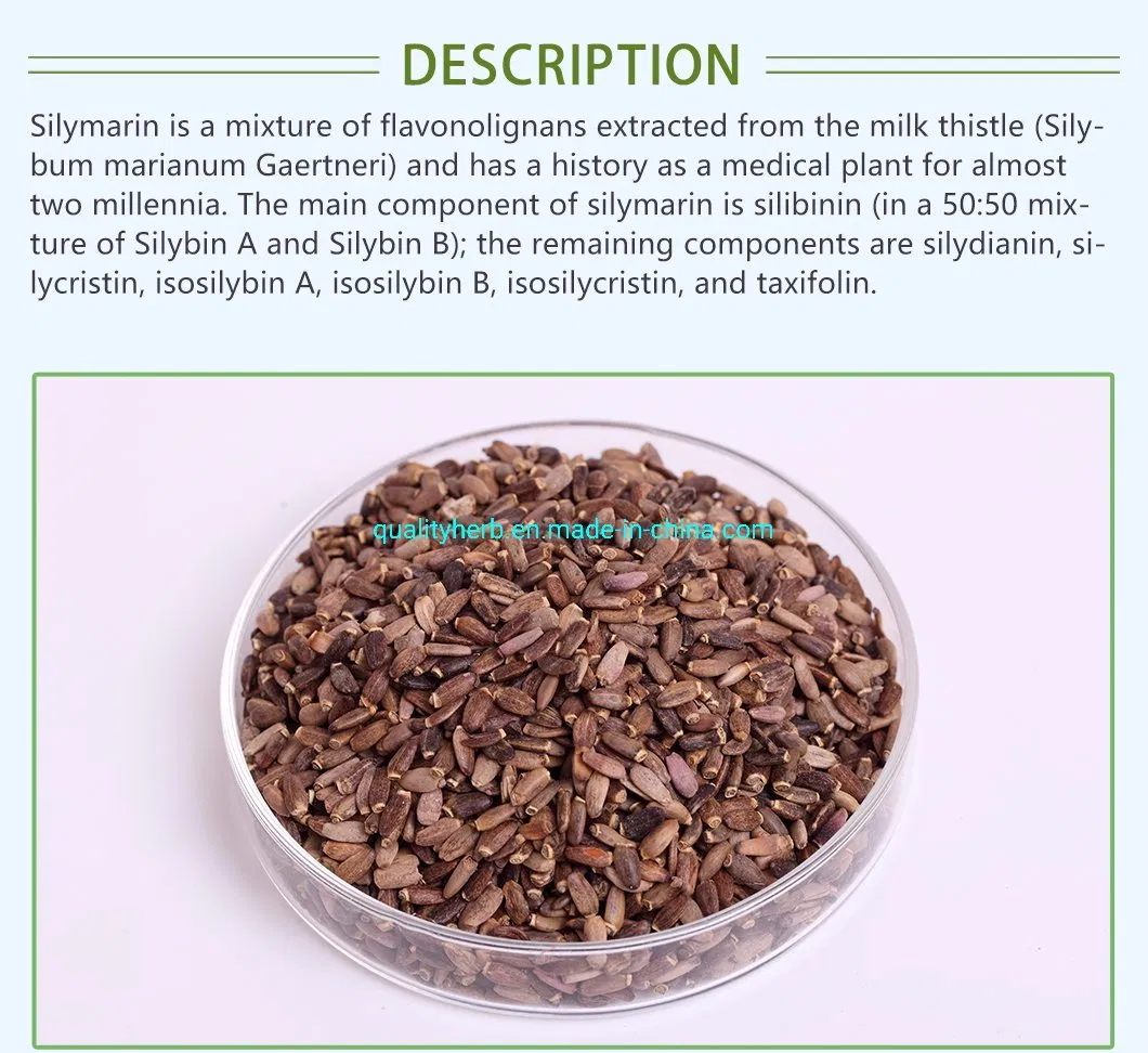 Milk Thistle Dry Extract Silymarin Powder Silybin+Isosilybin 80% UV Plant Extract