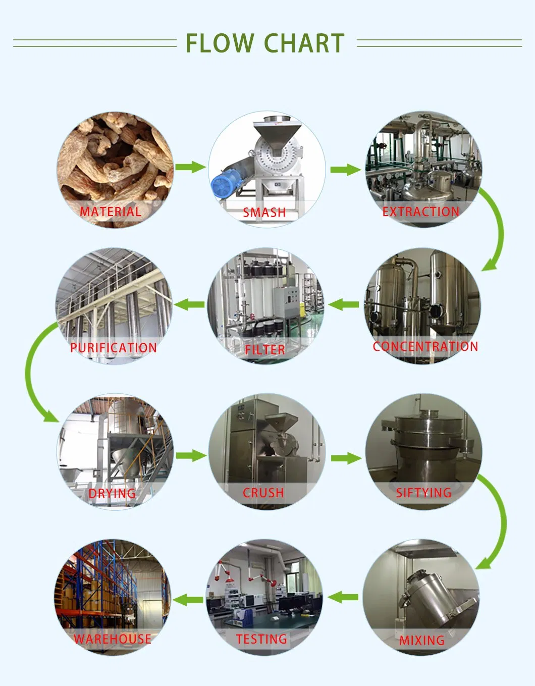 Milk Thistle Dry Extract Silymarin Powder Silybin+Isosilybin 80% UV Plant Extract