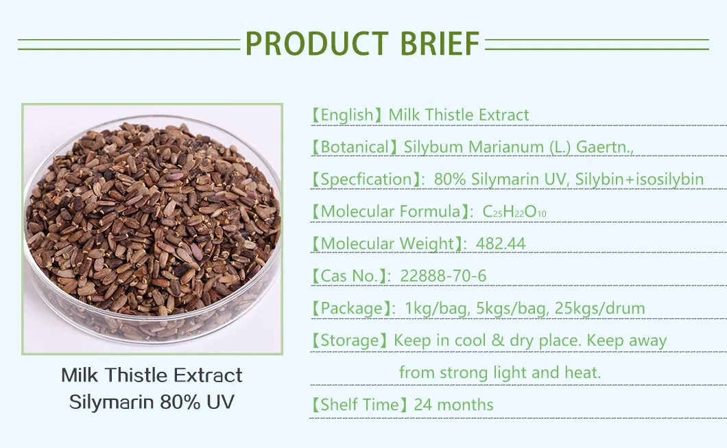 Milk Thistle Dry Extract Silymarin Powder Silybin+Isosilybin 80% UV Plant Extract