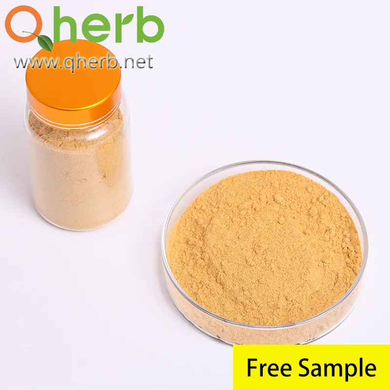 Milk Thistle Dry Extract Silymarin Powder Silybin+Isosilybin 80% UV Plant Extract