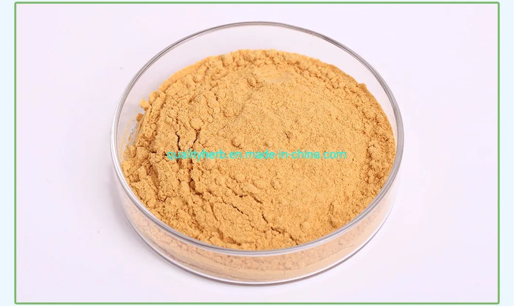 Milk Thistle Dry Extract Silymarin Powder Silybin+Isosilybin 80% UV Plant Extract