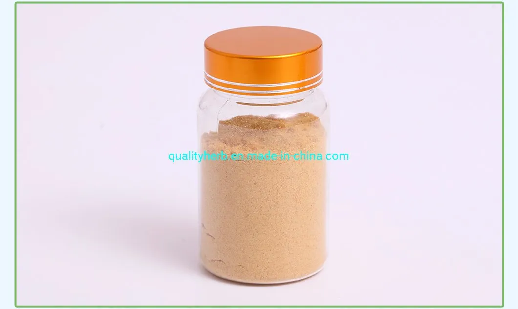 Milk Thistle Dry Extract Silymarin Powder Silybin+Isosilybin 80% UV Plant Extract