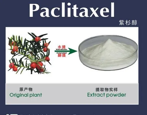 Natural 1%~99.5% HPLC Paclitaxel Powder with CAS 33069-62-4