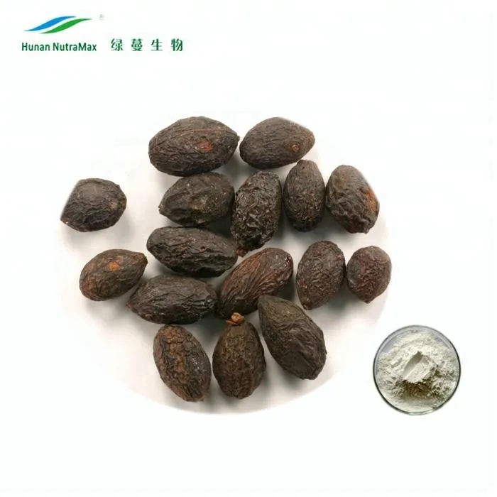 Natural 4: 1 Powder Saw Palmetto Berry Extract with Best Price
