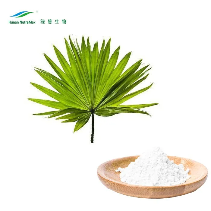 Natural 4: 1 Powder Saw Palmetto Berry Extract with Best Price