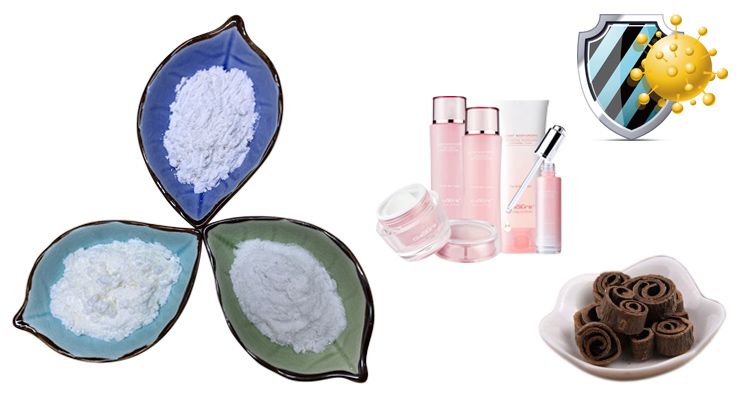 Natural Antibacterial Plant Extract Powder Magnolol Honokiol with High Purity