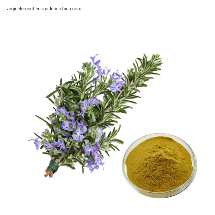 Natural Antioxidant 5%~60% Carnosic Acid Oil Powder Rosemary Extract