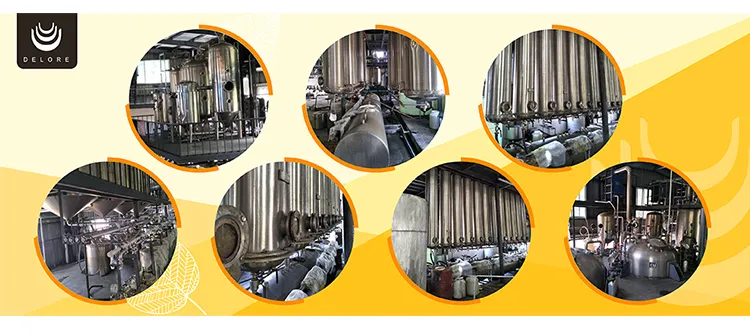 Natural Antioxidant Rosemary Extract 5%~60% Carnosic Acid 2.5%~98% Rosmarinic Acid 25%~98% Ursolic Acid Essential Oil Feed Additive Herbal Extract