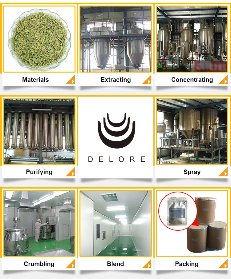 Natural Antioxidant Rosemary Extract 5%~60% Carnosic Acid 2.5%~98% Rosmarinic Acid 25%~98% Ursolic Acid Essential Oil Feed Additive Herbal Extract