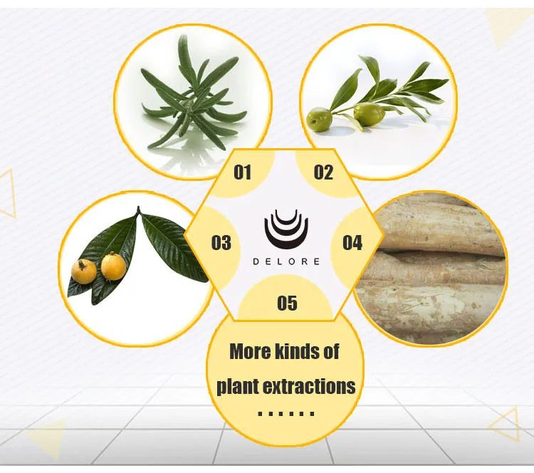 Natural Antioxidant Rosemary Extract 5%~60% Carnosic Acid 2.5%~98% Rosmarinic Acid 25%~98% Ursolic Acid Essential Oil Feed Additive Herbal Extract