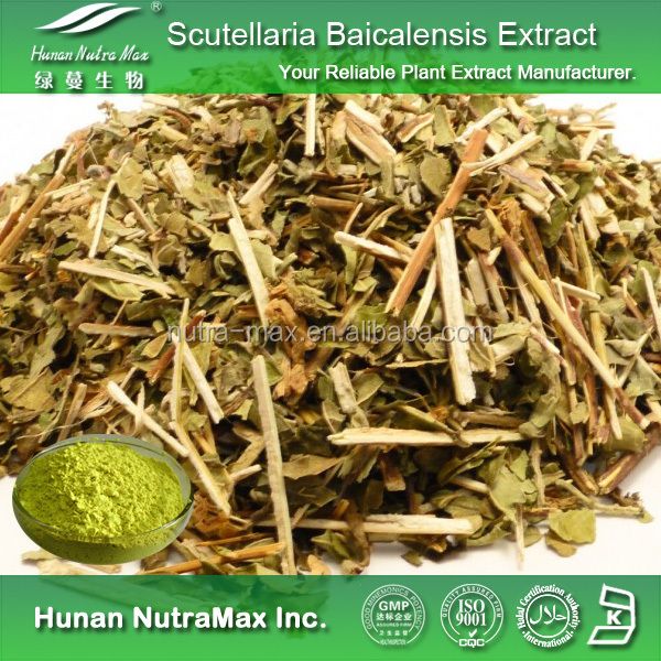 Natural Baicalin Scutellaria Extract with Free Samples
