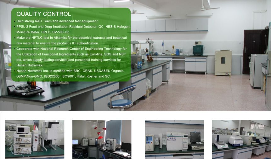Natural Baicalin Scutellaria Extract with Free Samples