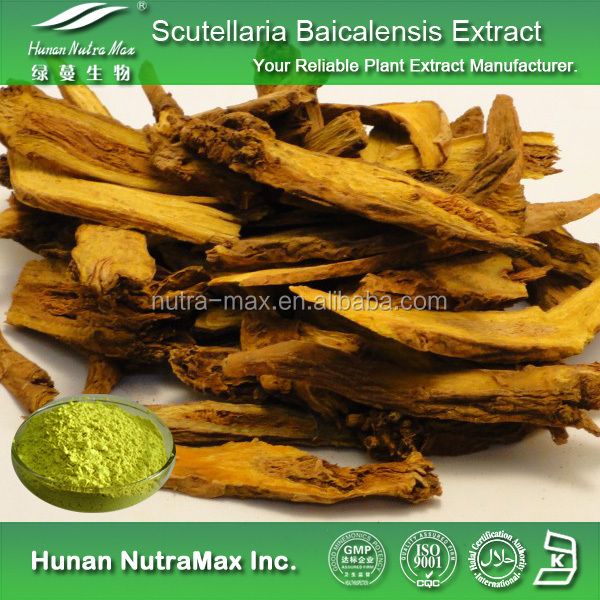 Natural Baicalin Scutellaria Extract with Free Samples