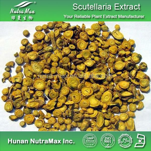 Natural Baicalin Scutellaria Extract with Free Samples
