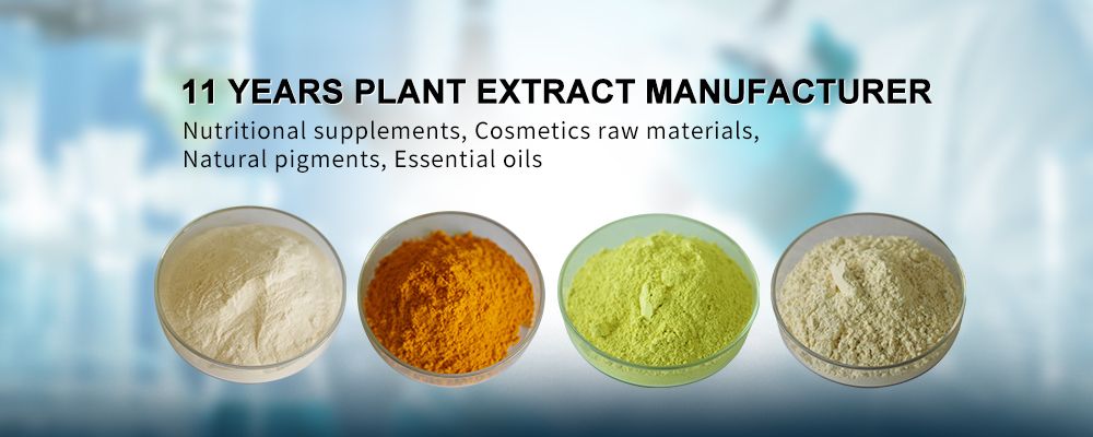 Natural Colorants Blue Spirulina Powder Plant Pigment E6 E18 E25 E30 E40 Spirulina Extract Phycocyanin