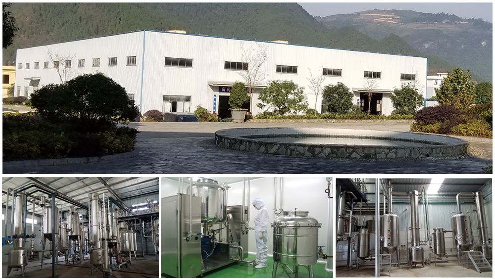 Natural Colorants Blue Spirulina Powder Plant Pigment E6 E18 E25 E30 E40 Spirulina Extract Phycocyanin