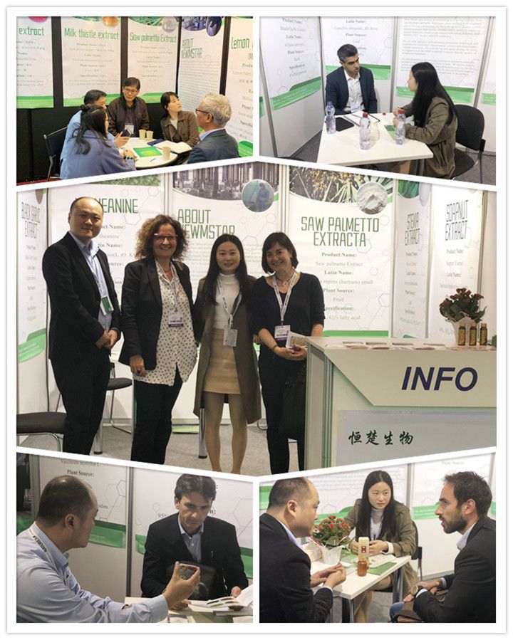 Natural Curcuma Extract Turmeric Root Extract 95% Curcumin Curcuma Longa Extract