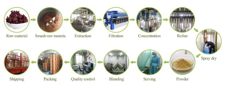 Natural Curcuma Extract Turmeric Root Extract 95% Curcumin Curcuma Longa Extract