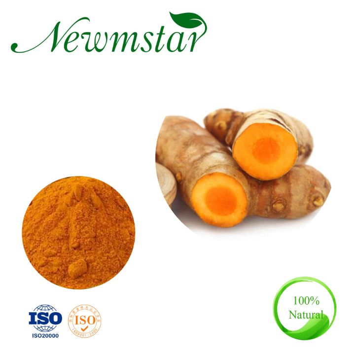 Natural Curcuma Extract Turmeric Root Extract 95% Curcumin Curcuma Longa Extract