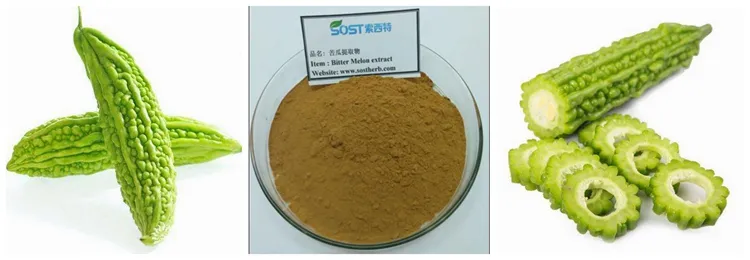 Natural Diabetes Medicine Powder EU Organic Bitter Melon Extract Powder