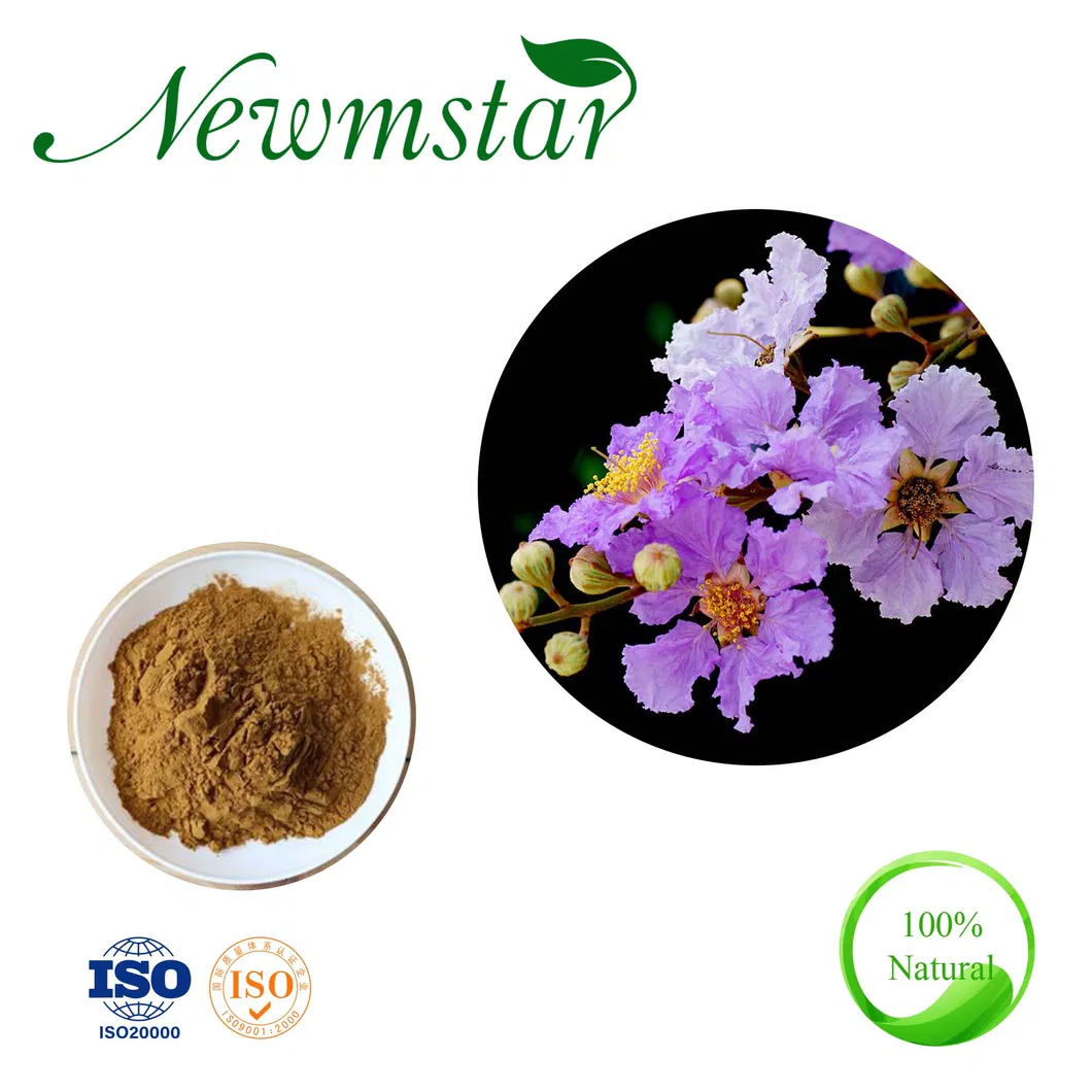 Hot Selling Natural Banaba Leaf Extract with 2%-98% Corosolic Acid