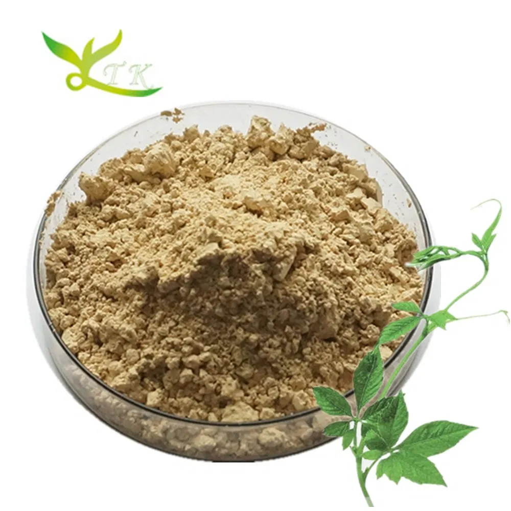 Natural Gynostemma Pentaphyllum Extract 80% 98% Gypenosides Powder Jiaogulan Extract