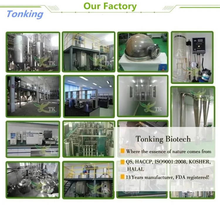 Natural Gynostemma Pentaphyllum Extract 80% 98% Gypenosides Powder Jiaogulan Extract