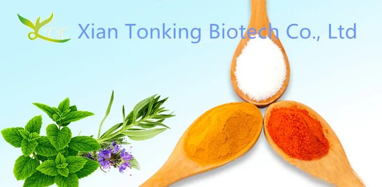 Natural Gynostemma Pentaphyllum Extract 80% 98% Gypenosides Powder Jiaogulan Extract