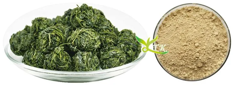 Natural Gynostemma Pentaphyllum Extract 80% 98% Gypenosides Powder Jiaogulan Extract