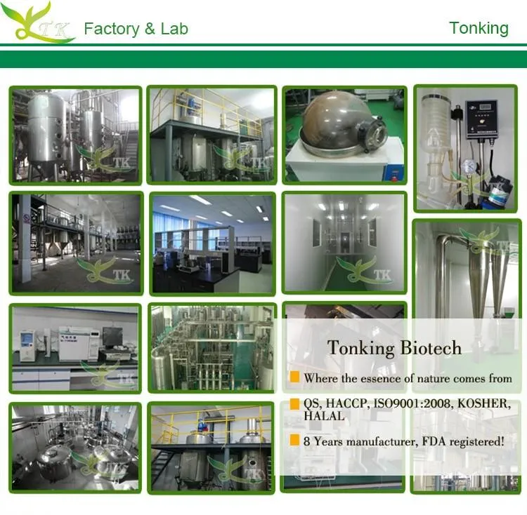 Natural Health Care Barley Grass Juice Powder Barley Grass Powder