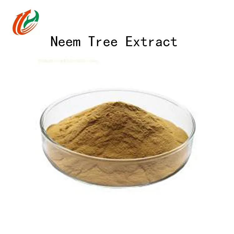 Natural Library Neem Tree Extract Neem Tree Powder