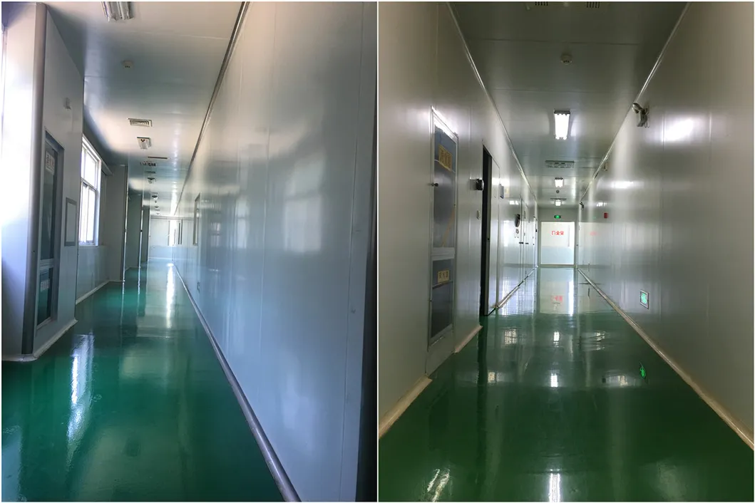 Natural Plant Extract Gotu Kola Extract Asiaticoside 5% -90% Centella Asiatica Extract