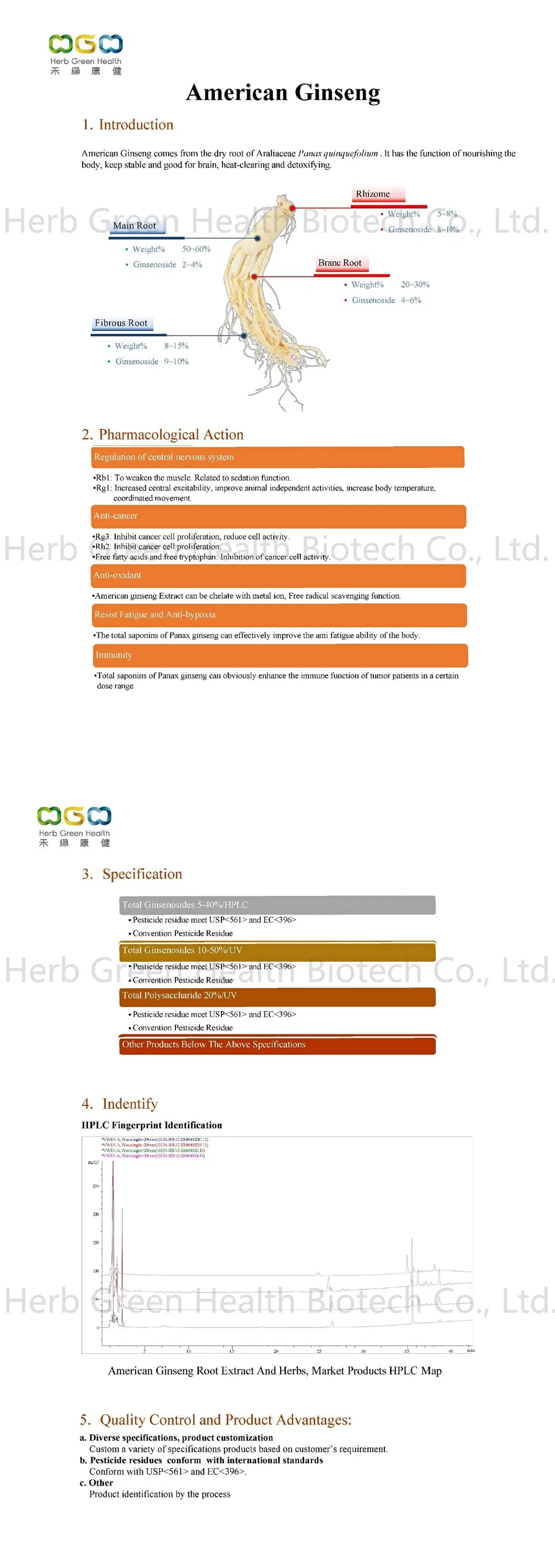 Natural Plant Extract Herb Herbal American Ginseng (Root) Extract