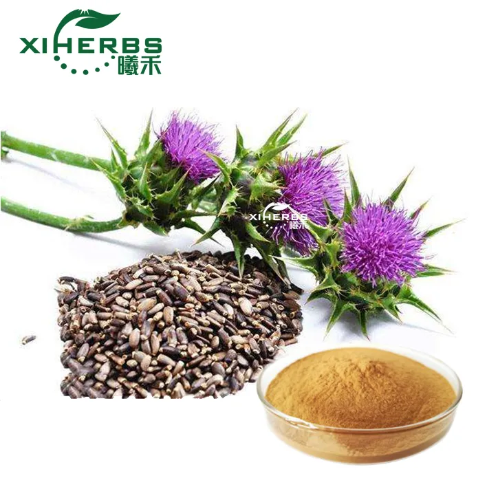 Natural Plant Extract Wholesale Price Silymarin 80% Milk Thistle Extract