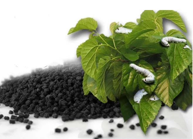 Natural Silkworm Excrement Extract 20: 1 30: 1