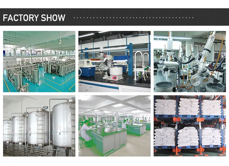 Natural Sourse Sophora Flavescens Extract Matrine 98%