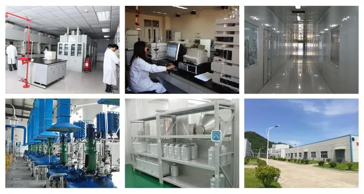 Natural Soy Extract 98% CAS 574-12-9 Soybean Isoflavone Powder